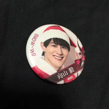 무카이야마 타케시 SHOW-WA 크리스마스 한정판 캔뱃지