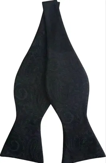 나비 넥타이 묶는 타입