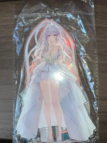 [ 중국 한정판 ] Xixeong 모더니아 아크릴 스탠드