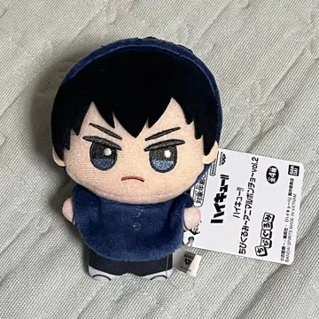 하이큐!! SD 인형 애니멀 판초 vol.2 카게야마 토비오