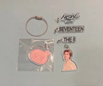 SEVENTEEN THE 8 아크릴 키링 세트