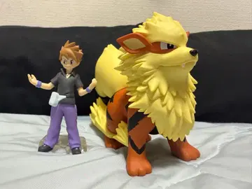 포켓몬 스케일 월드 간토 지방 그린&윈디