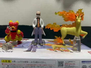 포켓몬 스케일 월드 관동 지방 가발 & 갤롭 & 부버