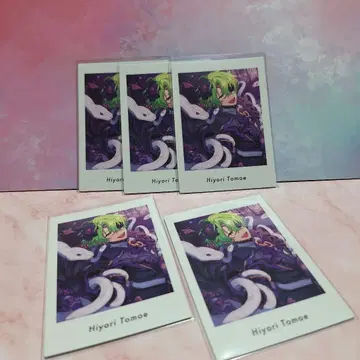 앙스타 파샤츠 토모에 히요리 5점