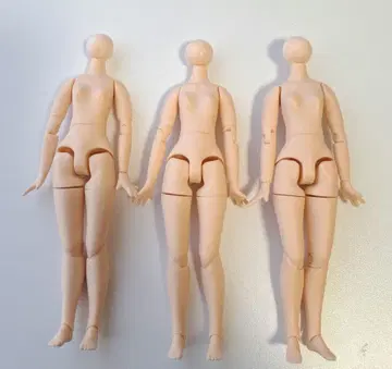 미디 아이시 인형 미디 사이즈 가동 바디