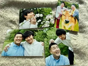 와규 사진 세트 4장 공식 투어 굿즈 3장 + 덤 1장