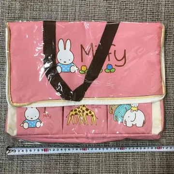 미피 레지 카고백