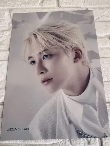 SEVENTEEN 정한  타워 레코드 플라이어(전단지)