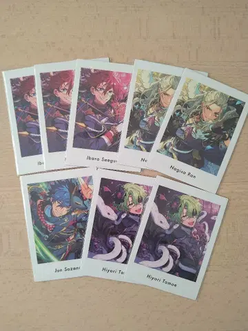 앙스타 파샤츠 Eden 묶음 판매