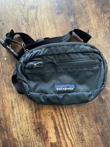 patagonia 미니 힙 팩 1L