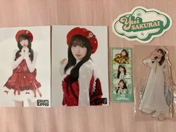 fruits zipper 사쿠라이 유이