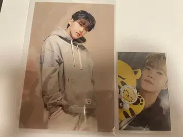 SEVENTEEN 아티스트 메이드 트레이딩 카드 호시