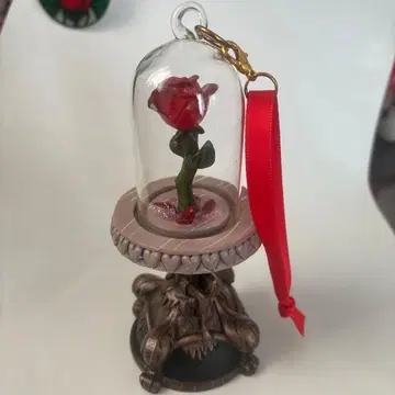 빨간 장미 유리 돔
