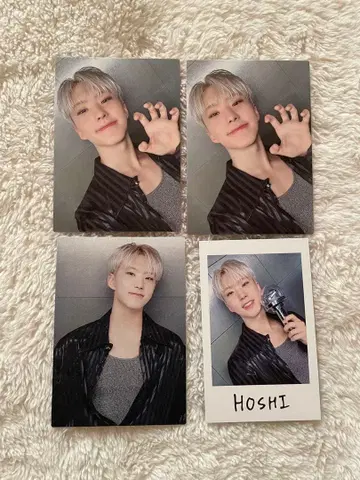 SEVENTEEN 세븐틴 세부치 호시