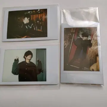 아나타시아 시바켄 폴라로이드 3장 세트