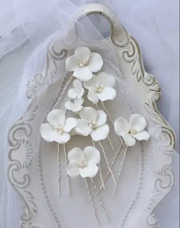 [새상품급] 헤어핀 5개 세트 & 귀걸이