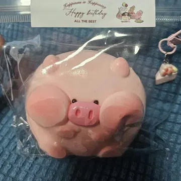 라 수감 스퀴즈 돼지