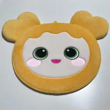 지효 부채 케이스