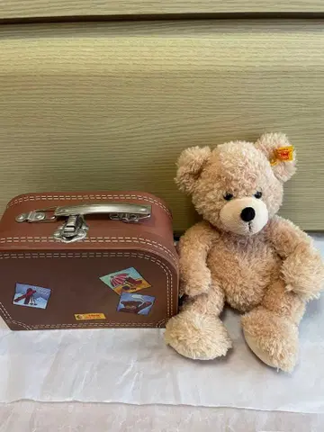 Steiff 테디베어 박스 포함