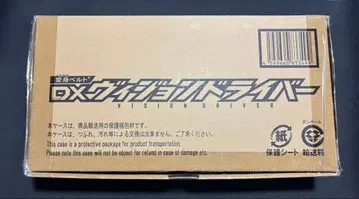 DX 비전 드라이버