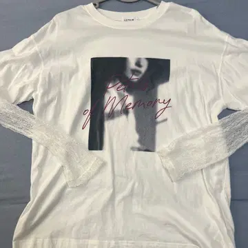 프린트 사진 레이어 T