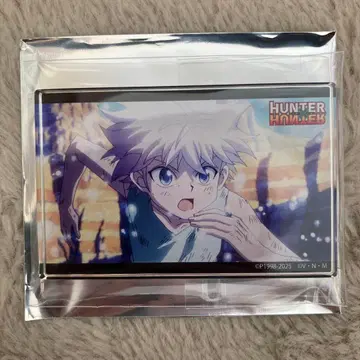 HUNTER x HUNTER 장면 사진 아크릴 블록 G.I 편 키루아