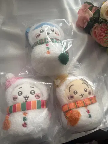 치이카와 에니마이 복권 2025