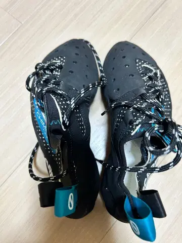 스컬파 키메라 40.5