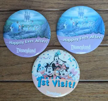 디즈니랜드 핀 배지 세트
