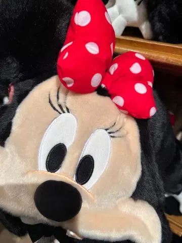 디즈니 미니 팬캡