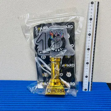 WEST. AWARD 응원봉 .