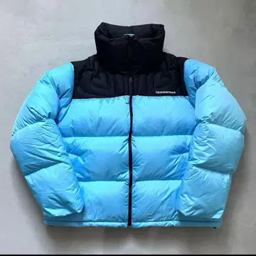 THE MUSEUM VISITOR DOWN JACKET