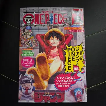 ONE PIECE magazine 원피스 매거진 20호