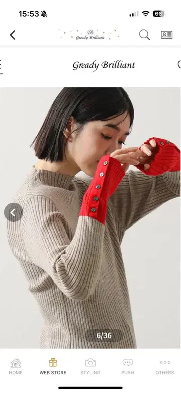 그레디 브릴리언트 리브 보틀넥 소매 바이컬러 니트