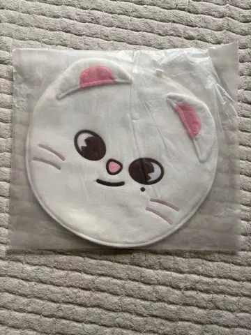 straykids 부채 케이스