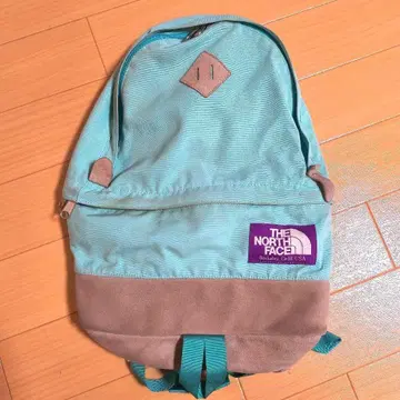 THE NORTH FACE 스카이블루 백팩