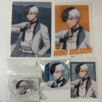 [ 묶음 판매 ] 벚꽃 하루 WIND BREAKER 윈브레 쿨 데님