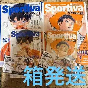 하이큐 소설판 1권 12권 카게야마 토비오 비주얼 보드