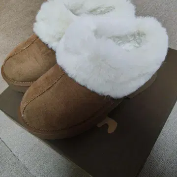 moz 브라운 숏부츠 LL