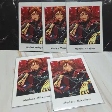 앙스타 미케지마 마다라 파샤츠 5점