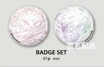 BUMP OF CHICKEN I 한정판 특전 히로아카 캔뱃지 익명 배송