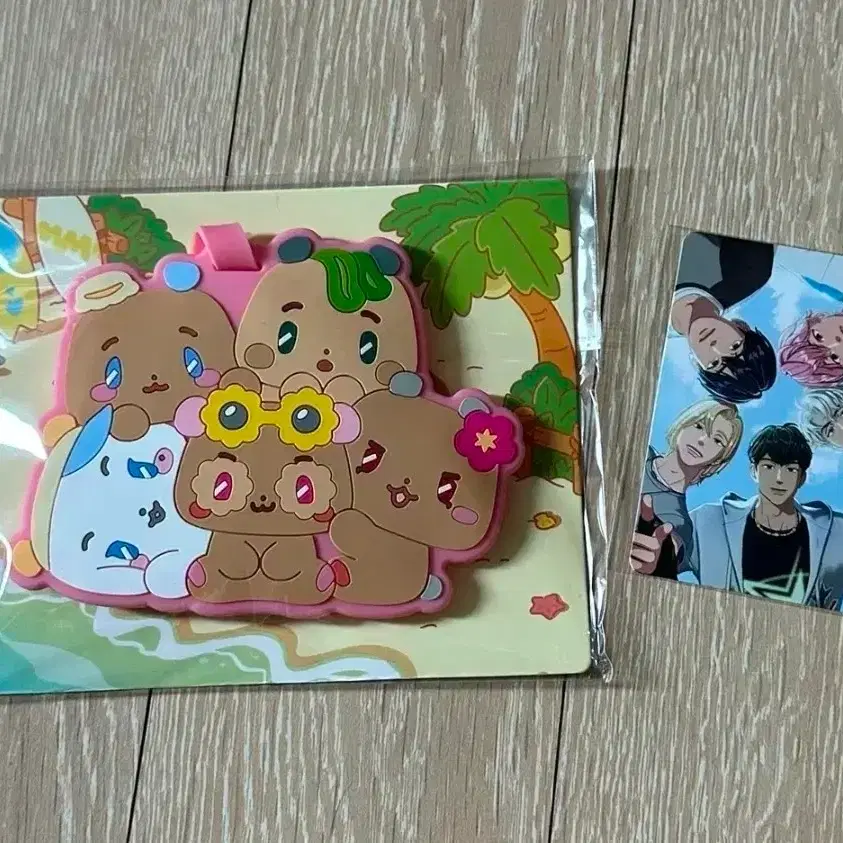 Plave Hana Card Luggage Tag Poca Sealed Mmemimu on Bunjang Global