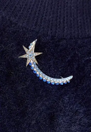 스타 모티브 브로치