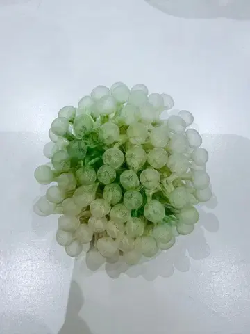 Quguri (연한 녹색) 입체감 있는 브로치/오비 고정 띠