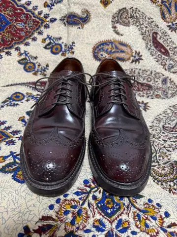 Alden (알든) 975 롱 윙팁 코도반 버건디