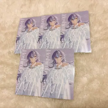 니지산지 별 인도 쇼 SUISAI RAIN 폴라로이드