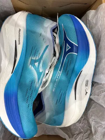 Mizuno Wave Rebellion Pro2 러닝화