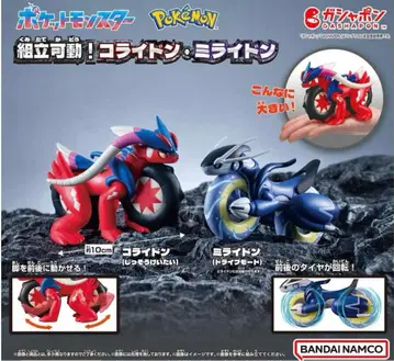포켓몬스터 조립 가동! 코라이돈 미라이돈 전 2종 세트