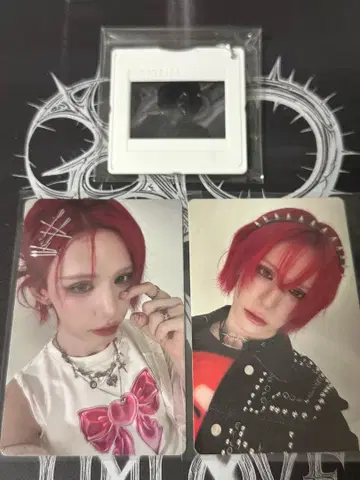 XLOV UXLXVE 스페셜 팩 움티 트레이딩 카드 세트