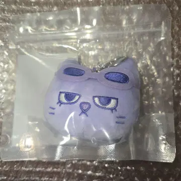 BOYNEXTDOOR 푸쉬넥도 FACE KEYRING 테프